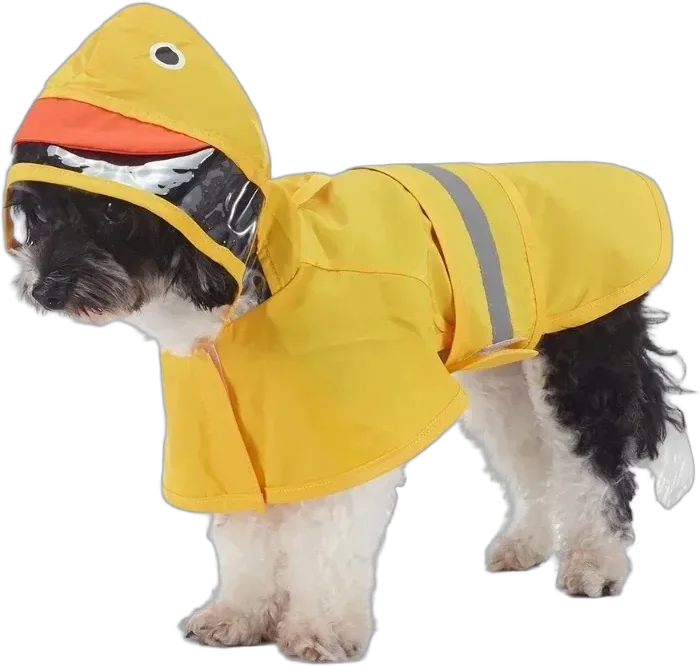 Un petit chien noir et blanc en cape de pluie jaune, capuche en forme de canard.
