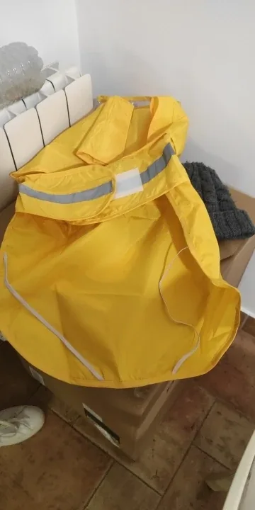 Photo publiée par l'acheteur avec cet avis